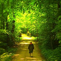 Metro Parks, Serving Summit County